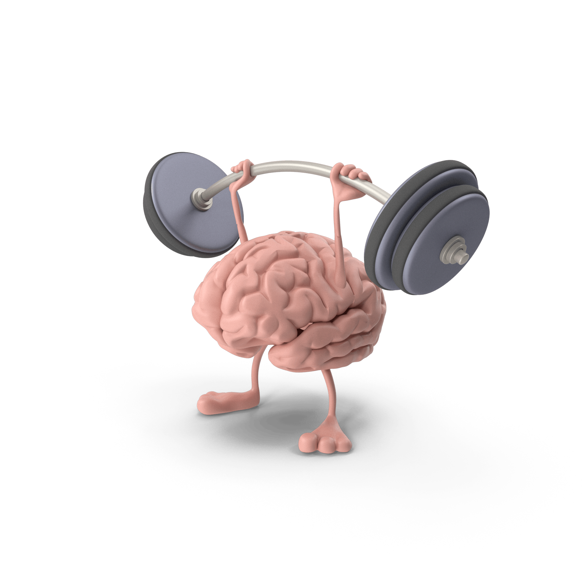 BRAINFITNESS.H03.2k